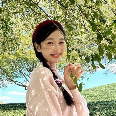 暴力的种子